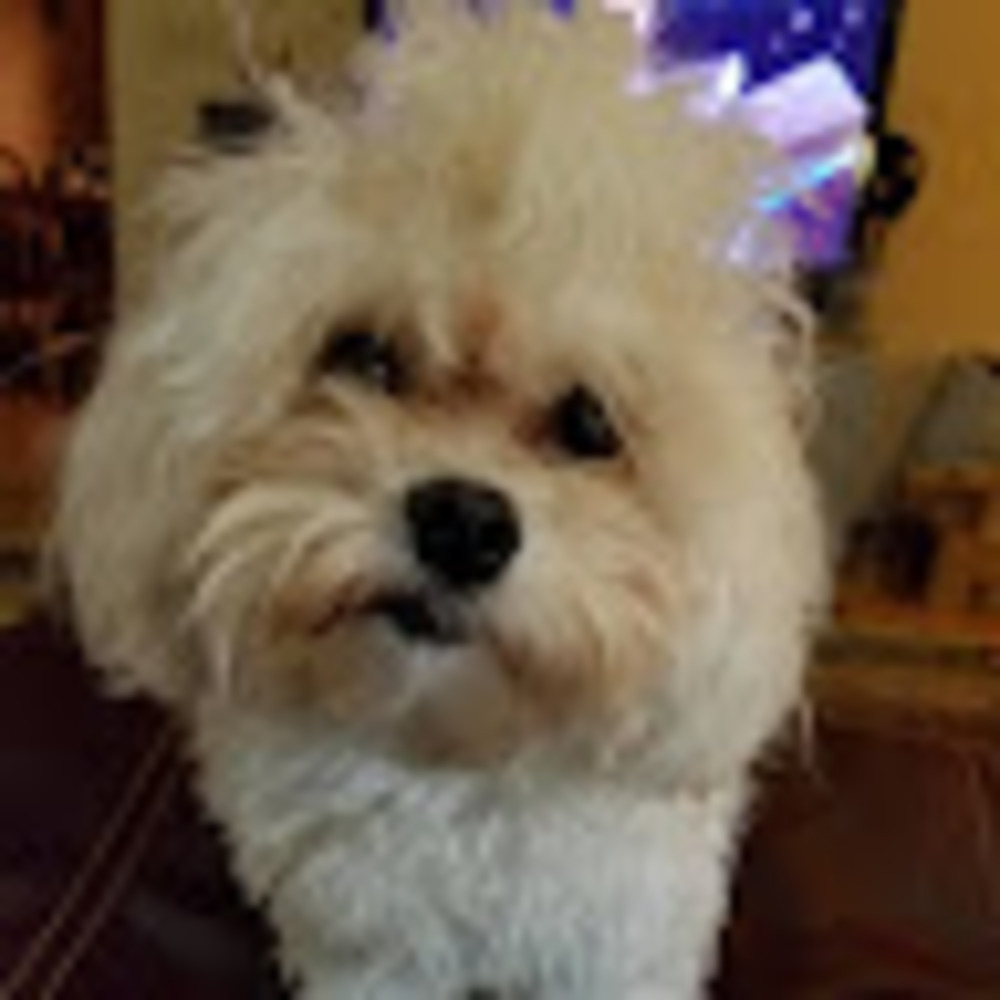 Meet your Posher, Stacy